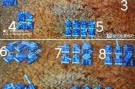 蓝色警戒官方指南